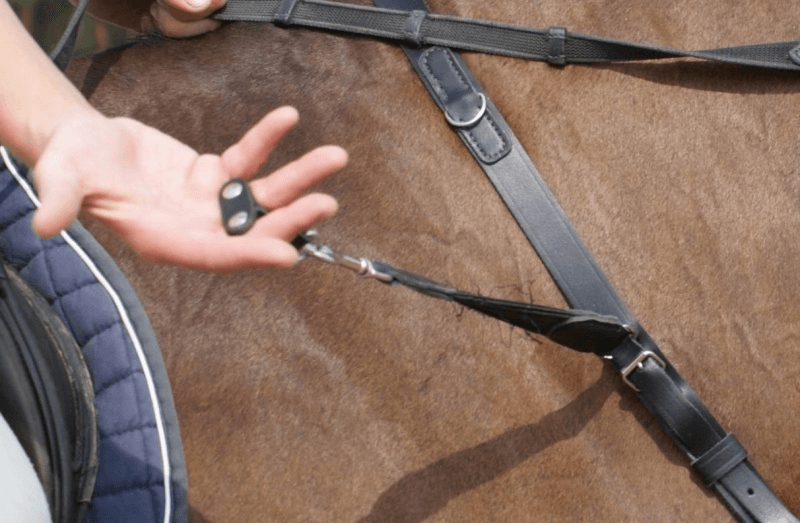 Freejump Collar 