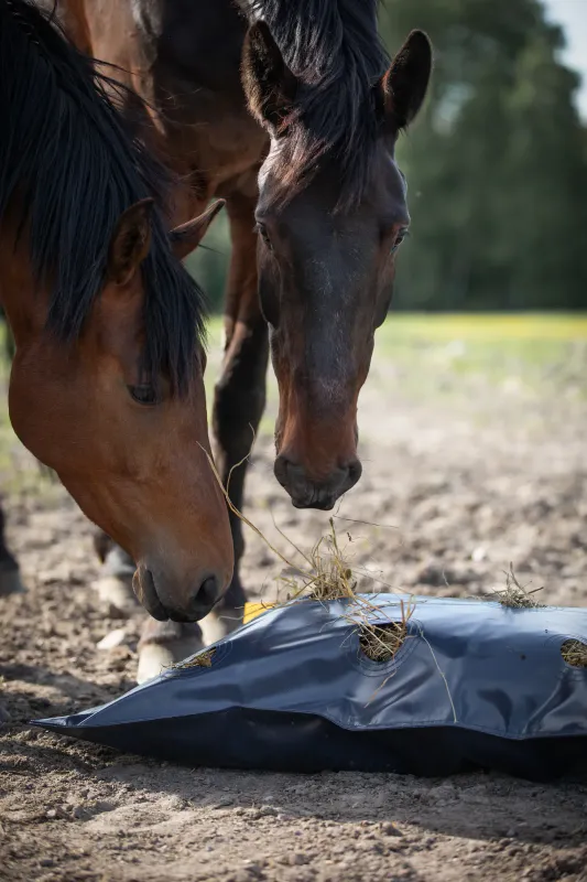 Protector HayFlow Bag R