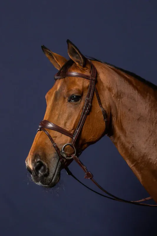 Dyon Anatomic Flash Noseband Bridle New English Collection - ton i ton stikling