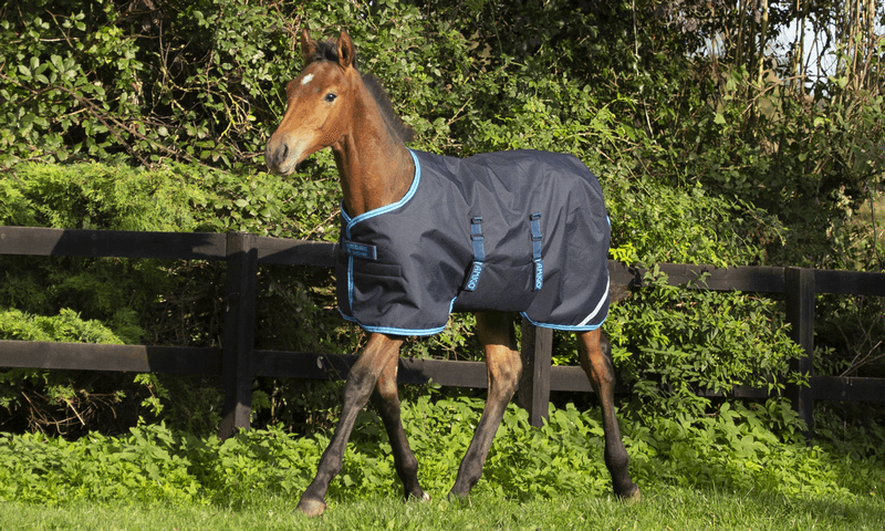 Horseware Amigo Foal Rug 50g