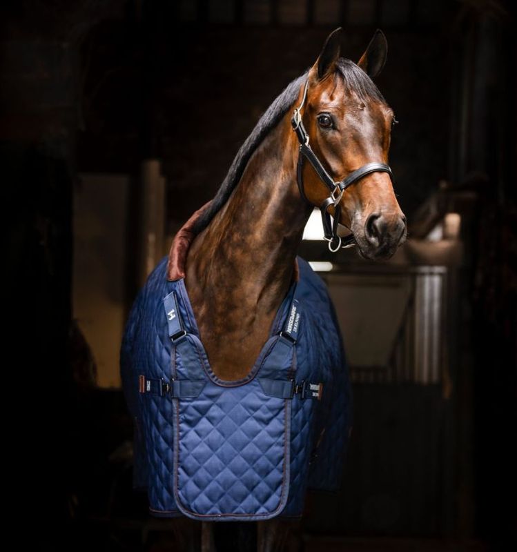 Horseware® Signature Stable 200g